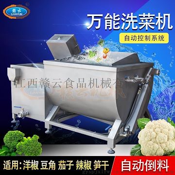 自动化洗菜机，万能型蔬菜清洗设备，洗蔬菜水果的机器